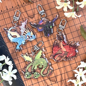 Dragons Charms