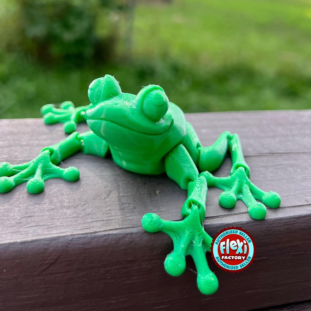 Rubber Frog Fidget Toy Rubber Frog Quiet Fidget 3D
