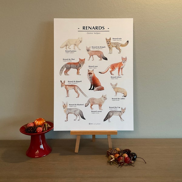 Fuchsartenposter Französische | Fuchsarten | Wissenschaftliche Tiere Poster | Tierposter | Aquarellmalerei | Nature Print