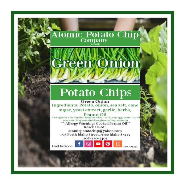 Atomic Potato Chip Company Green Onion 9oz