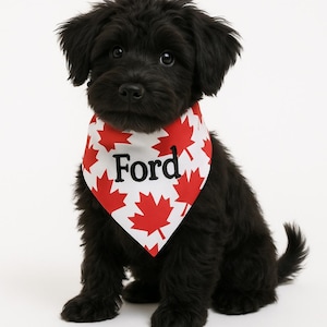 Personalized Canada Day Dog Bandana - Custom Over-the-Collar and Snap-On Pet Bandanas for Dogs - Red & White Maple Leaf Design