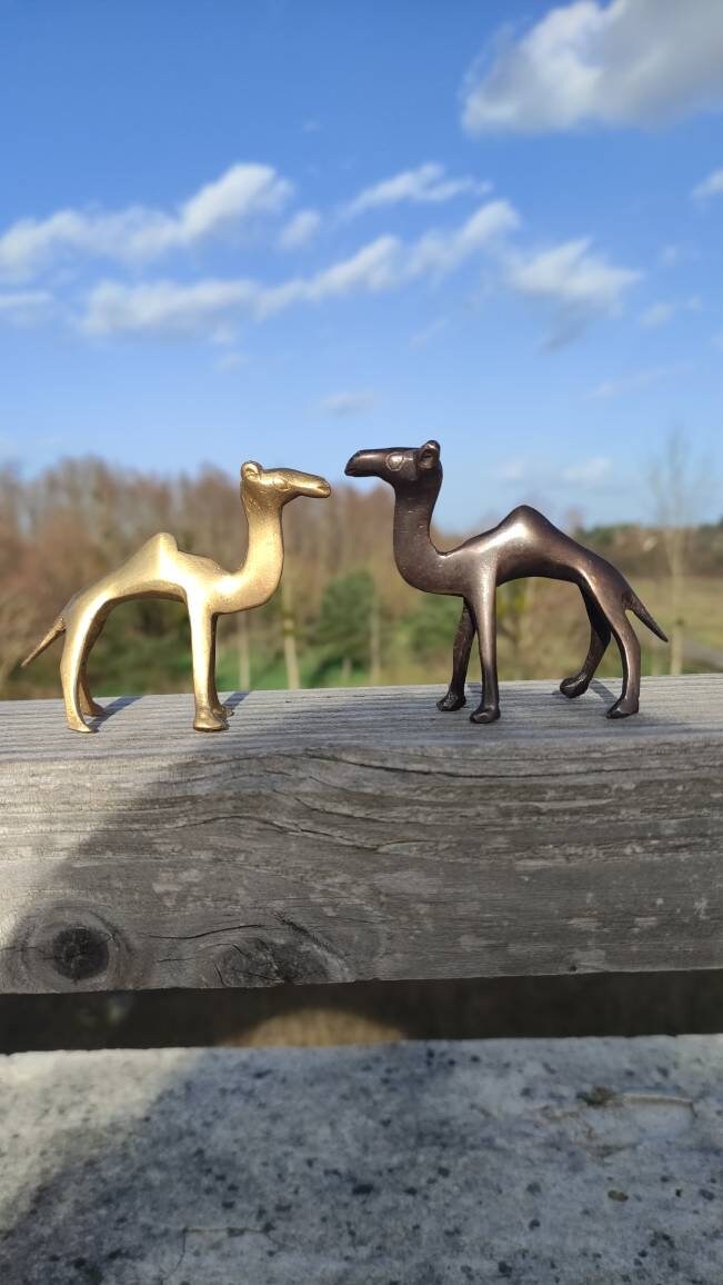 Couple Dromadaires en Bronze