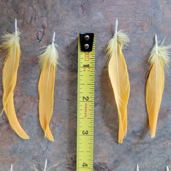 25 Orange crown feathers from Sulpher created cockatoo