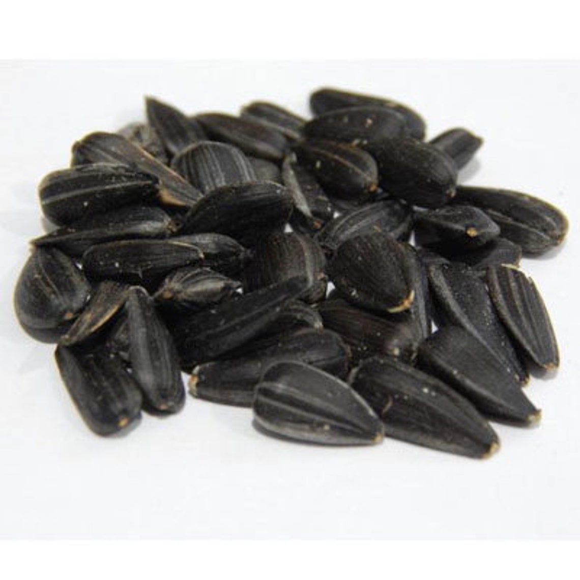 Pack of 20 Sunflower Seeds ORGANICLY growing in USA Etsy