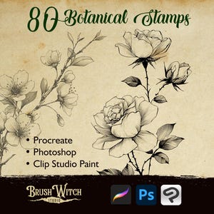 Peut inclure: Illustration de 80 tampons botaniques. L'image présente des dessins au trait détaillés de fleurs et de branches, avec du texte indiquant la compatibilité avec Procreate, Photoshop et Clip Studio Paint. Le logo Brush Witch Studio est en bas.