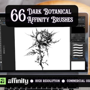 May include: A laptop displays a black and white illustration of a rose with thorns. The screen shows the text "66 Dark Botanical Affinity Brushes". The laptop also displays the Affinity logo, "High Resolution", and "Commercial Use".