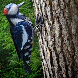 Metal Woodpecker Bird Metal Yard Art Outdoor Decoration - Realistic Garden Decor - Perfect Christmas Gift