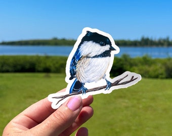 Cute Chickadee Sticker | Bird Sticker | Sticker For Laptop, Water Bottle, or car | Durable Weatherproof Vinyl, For a Bird Lover