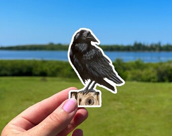 Raven Sticker, Weatherproof Durable Vinyl Crow Sticker for Laptop Journal or Water Bottle, For a Bird Lover, Black Bird Acrylic Artwork