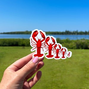 Nova Scotia Lobster Sticker, Cute Lobster Family Sticker, Durable Weatherproof Vinyl, Sticker for Laptop or Water Bottle, Gift for Fisherman