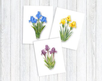 Floral Note Card | Individual or Set | All Occasion Greeting Cards | Floral Greeting Cards | Giclee Prints | Homemade Stationery