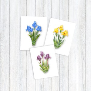 Floral Note Card Individual or Set All Occasion Greeting Cards Floral Greeting Cards Giclee Prints Homemade Stationery SET OF 3