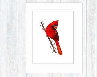 Cardinal Painting, Original Acrylic Painting, 11 x 14 Mixed Media Paper, Mat Included, Bird Wall Art, Red Cardinal