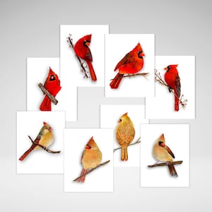 Jeu de cartes cardinalices, Personnalisation en option, Cartes cardinalices, Cartes de voeux toutes occasions, Reproductions de peinture acrylique, Cartes fabriquées au Canada