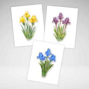 carte de correspondance florale | Individuel ou ensemble | Cartes de vœux toutes occasions | Cartes de voeux florales | Impressions jet d'encre | Papeterie maison