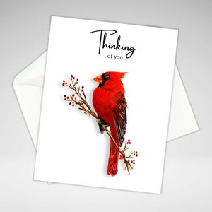 carte de correspondance cardinale | Cardinal pensant à vous | Impressions giclées acryliques | Cartes de voeux | Papeterie maison