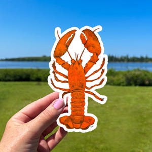 Nova Scotia Lobster Sticker, Weatherproof Durable vinyl red lobster, For Laptop, Water bottle note book, Crustacean sticker for a Fisherman
