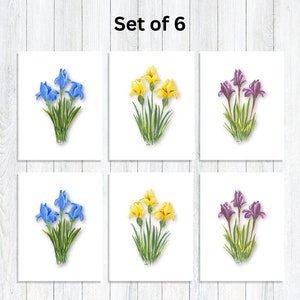 Floral Note Card Individual or Set All Occasion Greeting Cards Floral Greeting Cards Giclee Prints Homemade Stationery SET OF 6 (2 OF EACH)