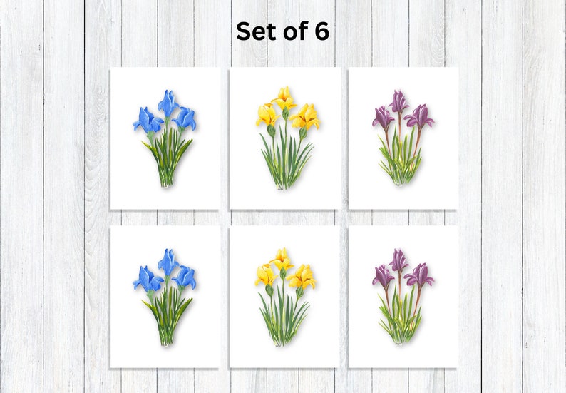 Floral Note Card Individual or Set All Occasion Greeting Cards Floral Greeting Cards Giclee Prints Homemade Stationery SET OF 6 (2 OF EACH)
