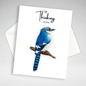 Carte geai bleu pensant à vous, carte de correspondance geai bleu, impression peinture acrylique, cartes de voeux oiseau bleu, papeterie maison, artiste canadien
