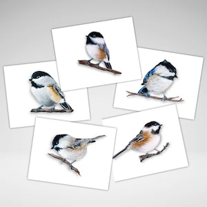 Jeu de cartes de correspondance mésange, personnalisation facultative, cartes de voeux toutes occasions, cartes oiseaux mignons, papeterie maison de tous les jours