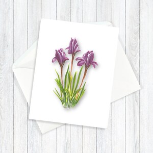 Floral Note Card Individual or Set All Occasion Greeting Cards Floral Greeting Cards Giclee Prints Homemade Stationery INDIVIDUAL PURPLE