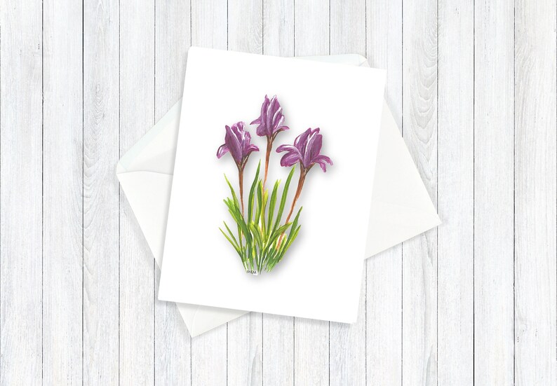 Floral Note Card Individual or Set All Occasion Greeting Cards Floral Greeting Cards Giclee Prints Homemade Stationery INDIVIDUAL PURPLE