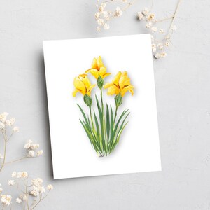 Floral Note Card Individual or Set All Occasion Greeting Cards Floral Greeting Cards Giclee Prints Homemade Stationery image 7
