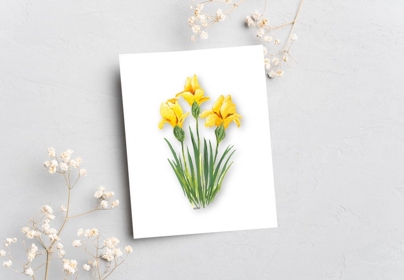 Floral Note Card Individual or Set All Occasion Greeting Cards Floral Greeting Cards Giclee Prints Homemade Stationery image 7