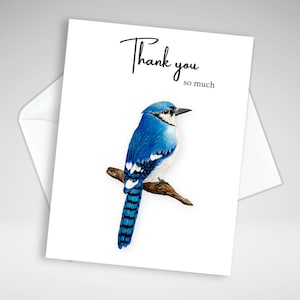 de remerciement de geai bleu | de correspondance fait maison | Carte de voeux de geai bleu | Papeterie maison