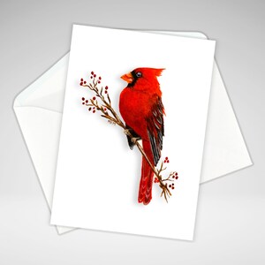 carte de correspondance cardinale | Cardinal toutes les occasions | Ensemble ou individuel | Impressions acryliques | Papeterie maison | Personnalisation en option