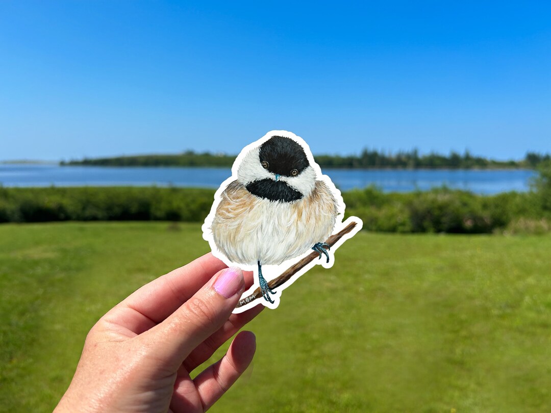 Vinyl Chickadee Sticker for Laptop or Water Bottle, Print of Acrylic ...