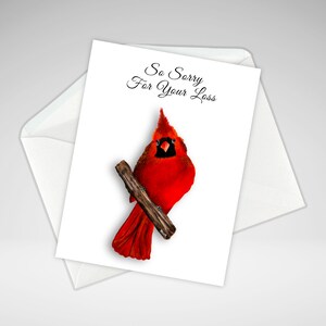 Carte de sympathie pour le cardinal, Désolé pour votre perte, Carte de décès du cardinal, Impressions giclées acryliques, Papeterie de voeux maison