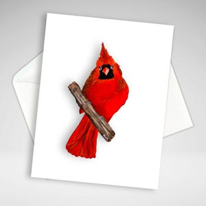 Ensemble de cartes de correspondance cardinales ou individuelles, personnalisation en option, impressions de cartes toutes occasions, cartes de correspondance oiseau papeterie maison