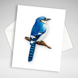 Carte de correspondance geai bleu, personnalisation facultative, carte de voeux toutes occasions, individuelle ou ensemble, impressions acryliques, papeterie maison oiseau bleu