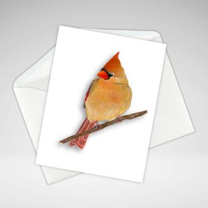 Female Cardinal Note Card, All Occasion Cardinal Card Set or Individual, Acrylic Painting Prints, Homemade Bird Stationery, Everyday Cards