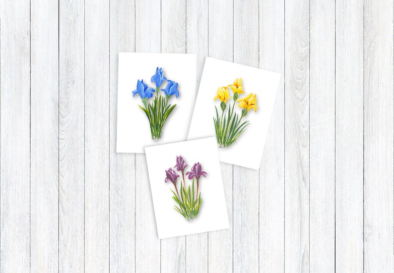 Floral Note Card Individual or Set All Occasion Greeting Cards Floral Greeting Cards Giclee Prints Homemade Stationery SET OF 3