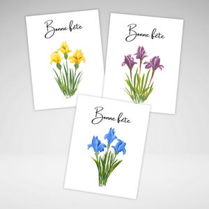 French Birthday Note Cards, Floral Birthday Card, Individual or Set, Acrylic Painting Prints, Homemade French Greeting Cards, Bonne Fête