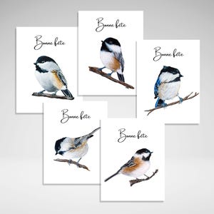 Cartes d'anniversaire mésange, joyeux anniversaire oiseau, cartes de voeux d'anniversaire oiseau, papeterie maison, bonne fête, fabrication canadienne