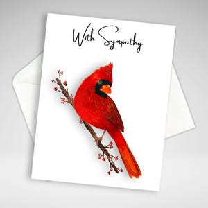 Carte de sympathie pour le cardinal, Carte de décès, Carte de correspondance pour le cardinal, Impression peinture acrylique, Cartes de voeux, Papeterie fait maison, Sympathie pour oiseau rouge