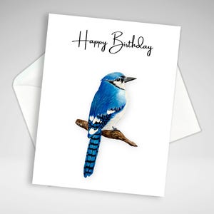Carte d'anniversaire geai bleu individuelle ou lot, carte de voeux d'anniversaire, carte de correspondance oiseau bleu, impressions peinture acrylique, papeterie maison