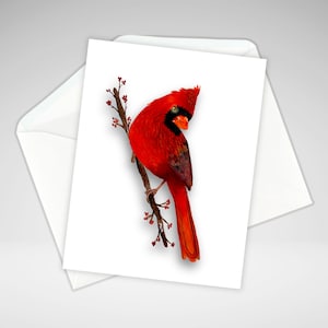 Cardinal Note Card Set or Individual, Personalization Optional, All Occasion Cardinal Greeting Card, Acrylic Print, Bird Homemade Stationery