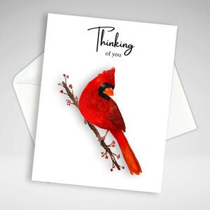 Carte de vœux pour le cardinal Thinking of you, carte de sympathie cardinale rouge, cartes de voeux maison, papeterie faite main, carte de pensée pour vous oiseau rouge