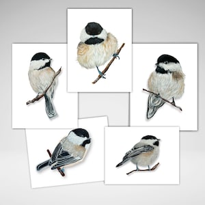 Chickadee Note Card Set or Individual, Personalization Optional, All Occasion Greeting Card, Black Capped Chickadee Art,  Bird Stationery