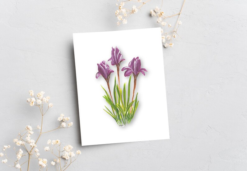Floral Note Card Individual or Set All Occasion Greeting Cards Floral Greeting Cards Giclee Prints Homemade Stationery image 5