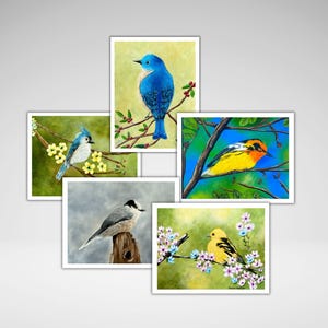 Assortiment de cartes de correspondance avec des oiseaux, Personnalisation en option, Cartes toutes occasions, Carte de voeux oiseau faite main, Impressions acryliques, Papeterie maison
