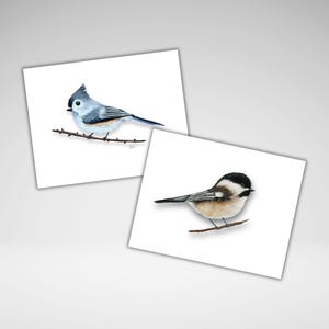 Cartes Souris et Mésange capitonnée, Personnalisation en option, Carte de voeux toutes occasions, Cartes Oiseaux mignons, Papeterie maison canadienne