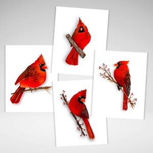 Jeu de cartes cardinalices, Personnalisation en option, Cartes cardinales rouges, Cartes de voeux toutes occasions, Impressions acryliques, Papeterie oiseau