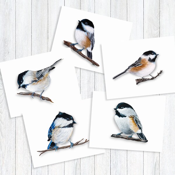 Chickadee Note Card Set or Individual, All Occasion Handmade Greeting Card Pack, Cute Bird Cards, Everyday Homemade Stationery