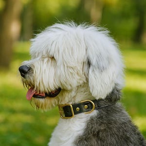 Hand-Tooled Leather Dog Collar – Premium Brass Buckle –  Western Collar